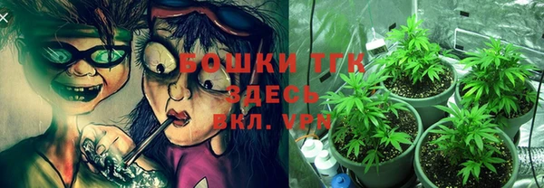 МДПВ Лиски