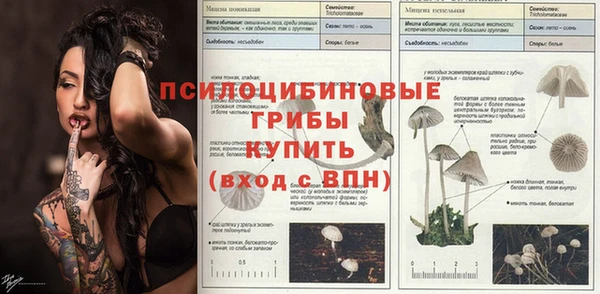 прущий лед Абдулино